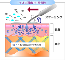 エレクトロクレンジングの特性